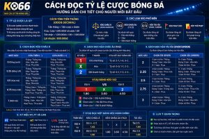 Cách đọc tỷ lệ cược bóng đá